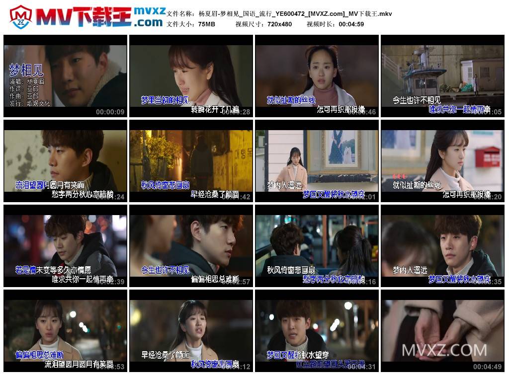 杨夏眉-梦相见_国语_流行_YE600472